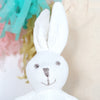 Bunny Rabbit Rattle With Personalised Gift Bag