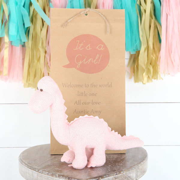 Personalised Gift Bag + Pink Diplodocus Rattle Dinosaur