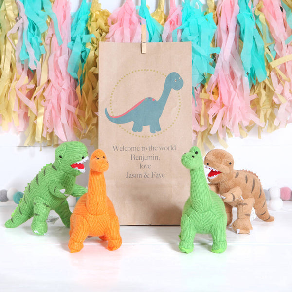 Dinosaur Rattle With Personalised Gift Bag