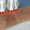 Five Seagulls On Driftwood Block